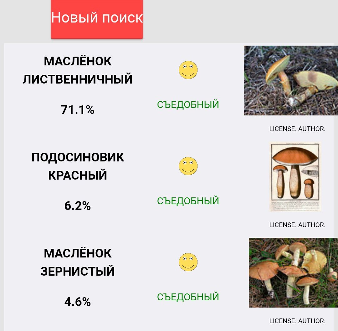 программа определения грибов по фото онлайн программа определения грибов по фото